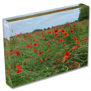 NEW "Poppy Meadow " Personalised A6 Acrylic Photo Block Limited Edition 100 ONLY